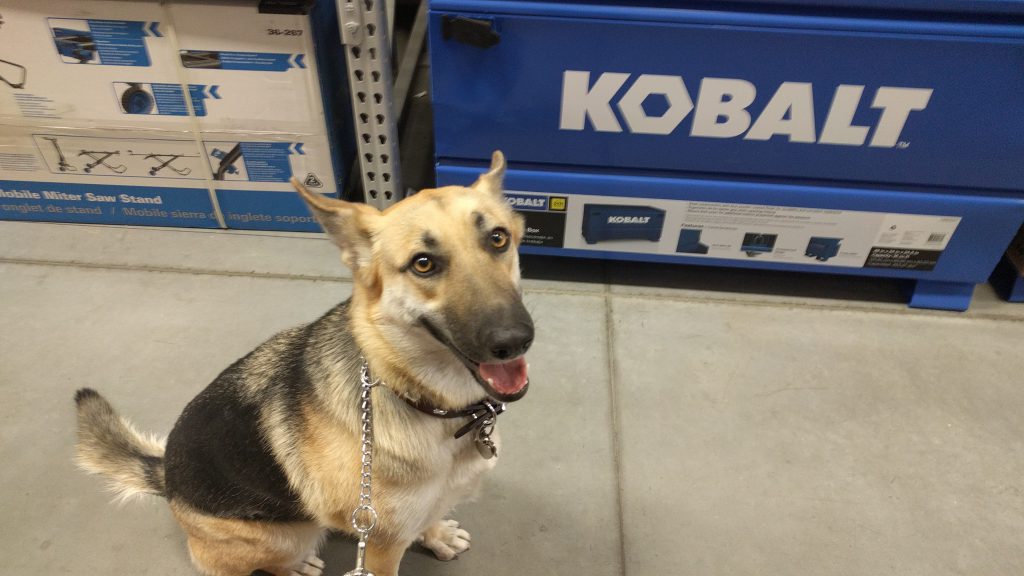 Lexi at Lowes